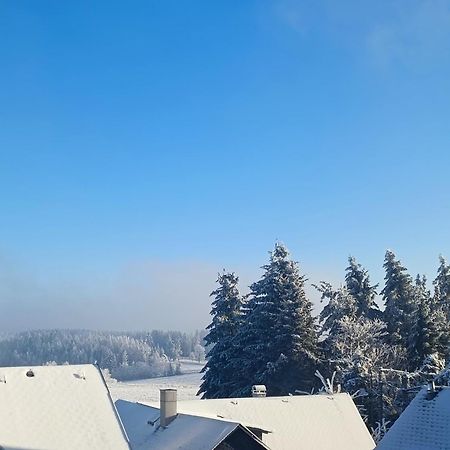 Pension Thueringer Wald Reichmannsdorf エクステリア 写真