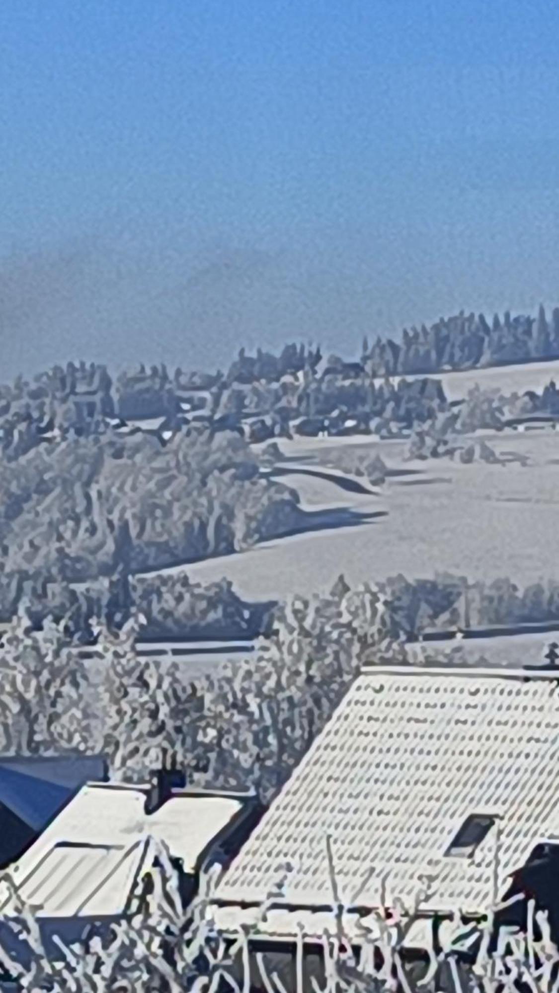 Pension Thueringer Wald Reichmannsdorf エクステリア 写真