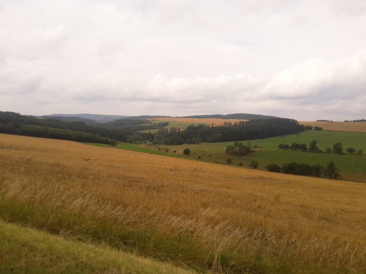 Pension Thueringer Wald Reichmannsdorf エクステリア 写真